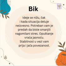 2 bik.JPG