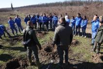 Zasadi drvo Petar Aleksić 6.jpg