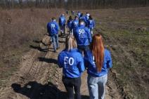 Zasadi drvo  Petar Aleksić 3.jpg