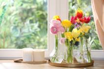 Cveće u vazi na prozoru