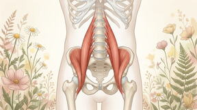 psoas major mišić anksioznosti