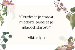 citati viktor igo (9)