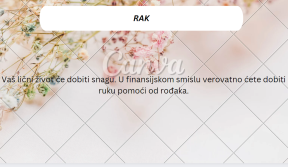 Rak.png