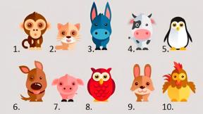 Pets-test.jpg