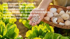 ljuske od jaja copy 2.jpg