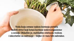 pirinčana voda copy 2.jpg