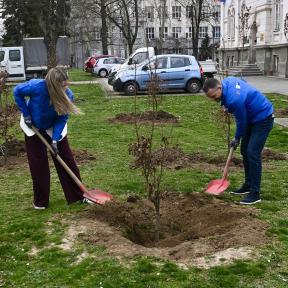 Zasadi drvo WMG i AHK obeležili jubilej sadnjom u Beogradu