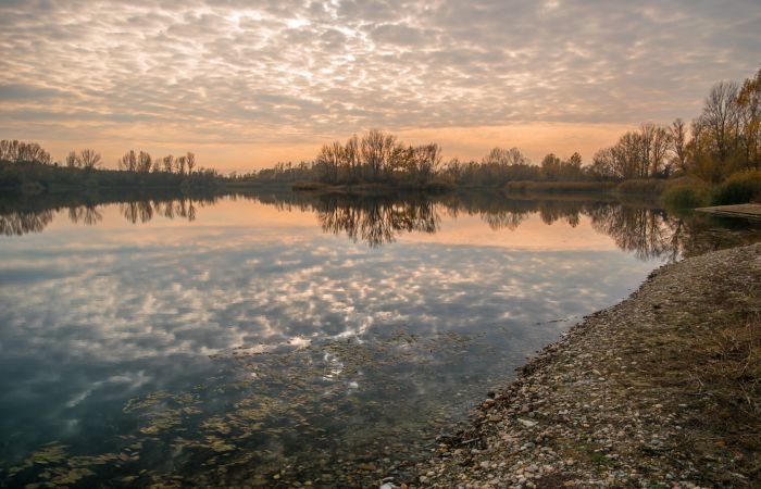 Posle smrti muža mislila sam da mi preko ptica šalje poruku