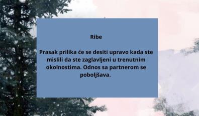 Dnevni horoskop za 28  januar 2023 godine (11).jpg