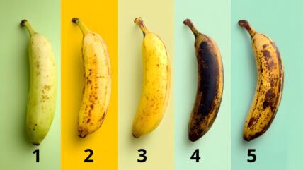 Banane poređane po stepenu zrelosti