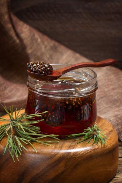 Narodni čaj i sirup protiv kašlja i prehlade: kako napraviti prirodne lekove od borovih iglica