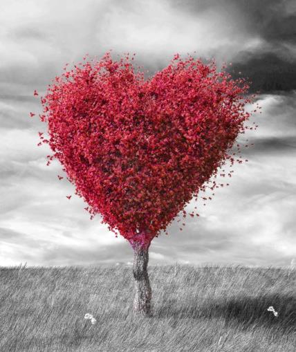 Ljubav će vas pronaći kada se najmanje nadate: evo koju veliku grešku prave usamljena srca