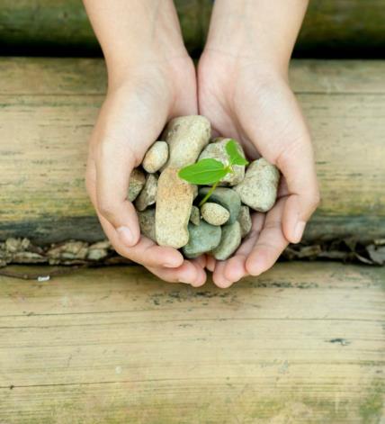 Strategija kamena pomaže u ljubavi, poslu i životu: evo kako da je naučite i prihvatite