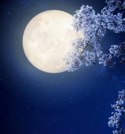 Cvetni pun Mesec donosi procvat ljubavi i energije: jednu stvar samo treba da izbegnete