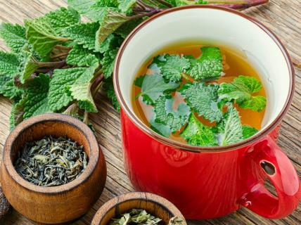Kako čaj od matičnjaka pomaže da smanjimo stres.