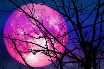 Horoksop Ružičasti Mesec za svaki znak od 16 aprila.