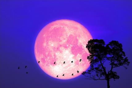 Pun Mesec donosi sreću za 5 horoskopskoih znakova od 14 juna.