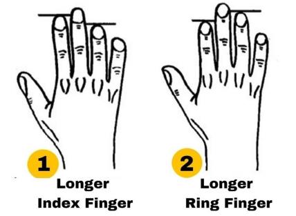 finger-length-personality-traits.jpg