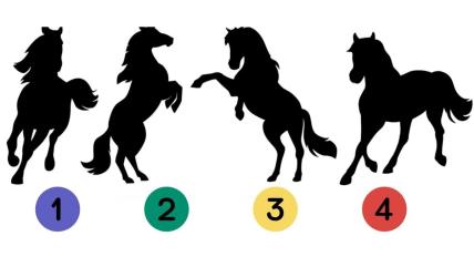 Horse-test.jpg