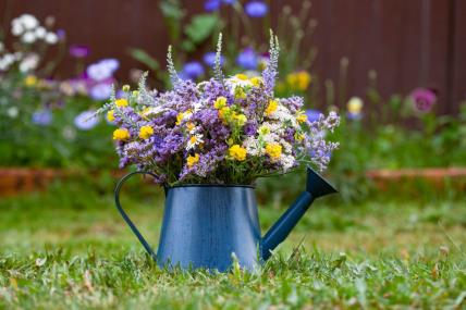 shutterstock_2018047763.jpg