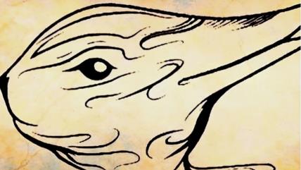 Rabbit-duck-visual-test.jpg