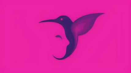 Visual-test-with-bird-and-face.jpg