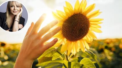 Untitled design(57).jpg