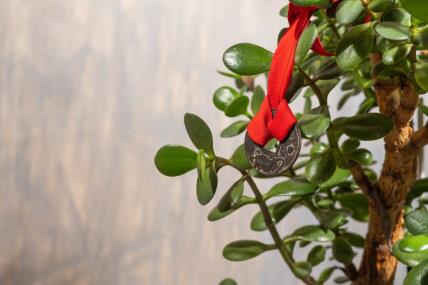 Krasula sa crvenom trakom i kineskim novčićima