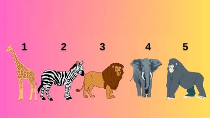 Životinje za test ličnosti