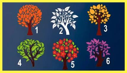 Drveće za test ličnosti