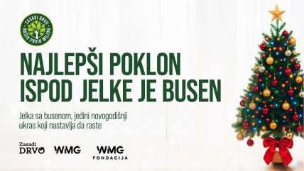 16x916x9 ZD_NG copy.jpg