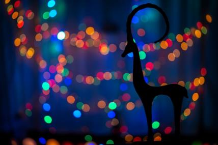 Horoskop za sezonu Jarca