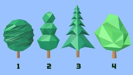 Drveće za test ličnosti