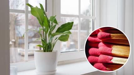 Spatifilum i šibice