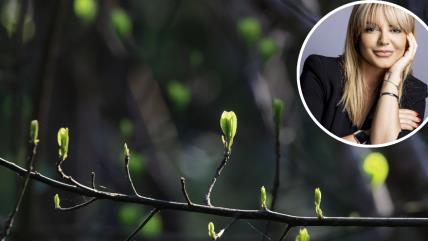 Buđenje proleća i Ivana Jelovac