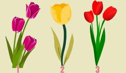 Tri lale za test ličnosti