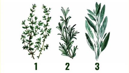 Biljke za test ličnosti