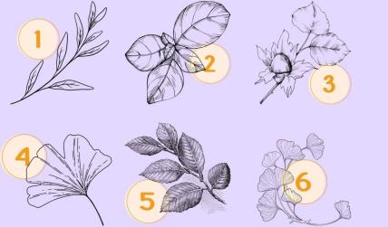 6 listova test ličnosti