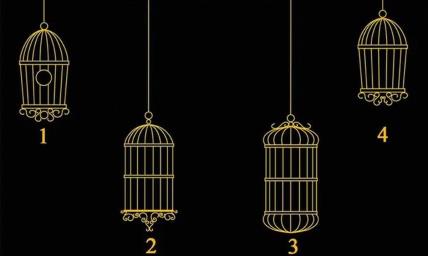 Kavezi za test ličnosti.jpg