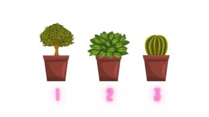 3 biljka za test ličnosti