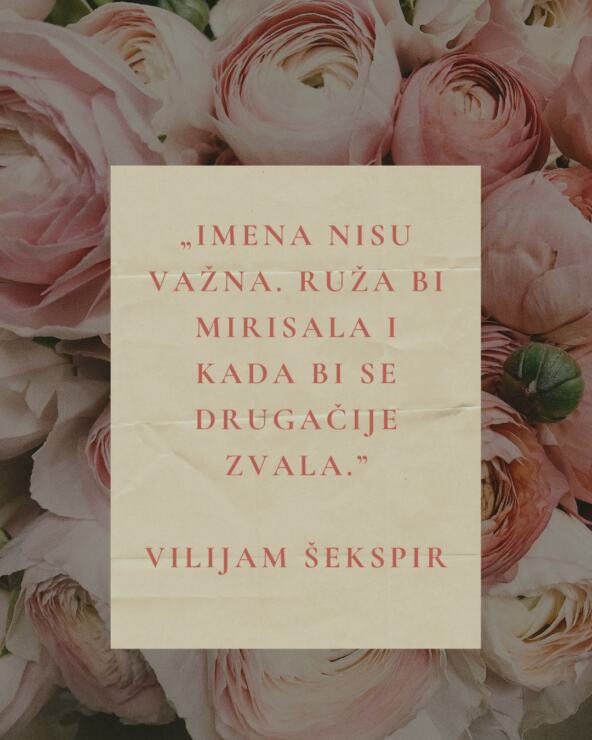 citati šekspir.jpg