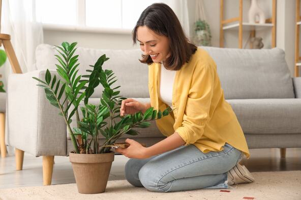 shutterstock_2425455051.jpg