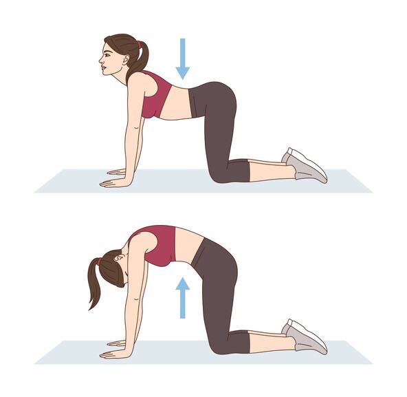 5 najboljih vežbi da razmrsite telo posle 8 sati sedenja