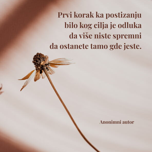Citat dana anonimni autor