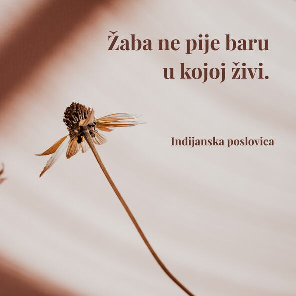 Citat dana indijanska poslovica