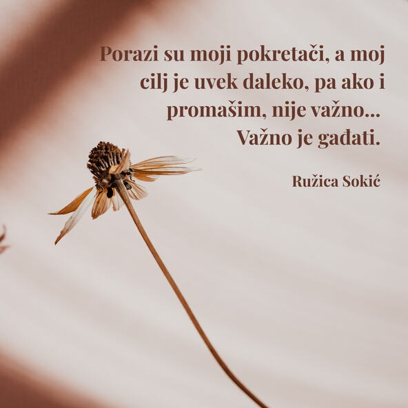 Citat dana Ružica Sokić