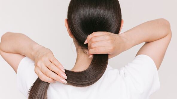 shutterstock_2696319931.jpg