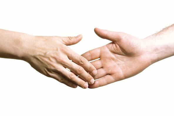 shutterstock_2744217153.jpg