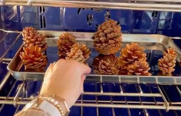 2026_10_29_13_14_00_How_to_Make_DIY_Scented_Pine_Cones_for_Holiday_Vibes_TikTok_Mozilla_Firefox.jpg