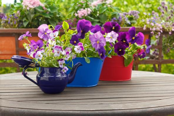 shutterstock_362358896.jpg